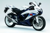 2010 Suzuki GSX-R600 photo